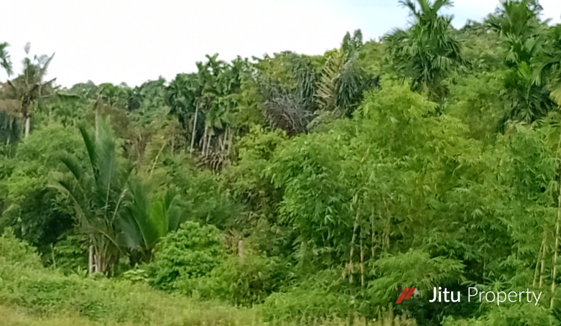 Tanah Di Pinggir Sungai Dan Pinggir Jalan Aspal Deli Serdang