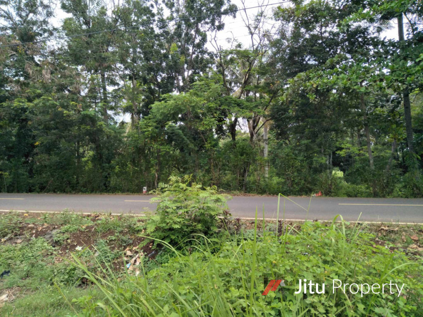 Dijual Tanah Lokasi Strategis Akses Jalan Besar Dekat RSUD dan Pantai