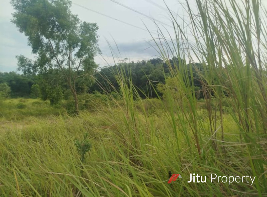 Jual Tanah Kosong Siap Dibangun Apa Saja Milik Pribadi Banten