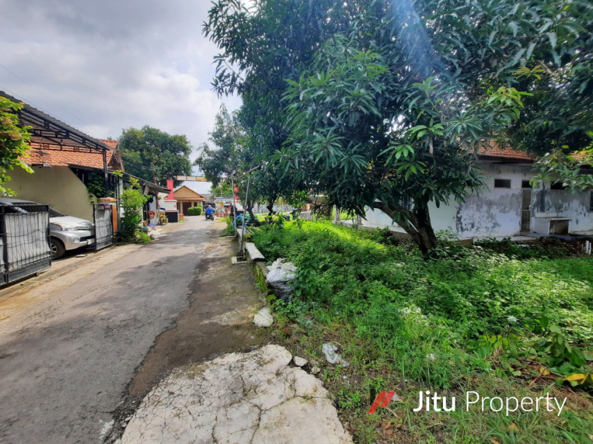 Rumah Dengan Tanah Yang Luas & Strategis Di Purwoharjo Comal